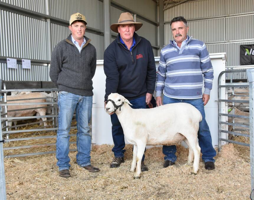 Top price stud ewe purchasers Joe and Steve Pederick, Sans-Souci with Red Hill vendor Robert Endacott holding Tag RH190290, their favourite purchase. 