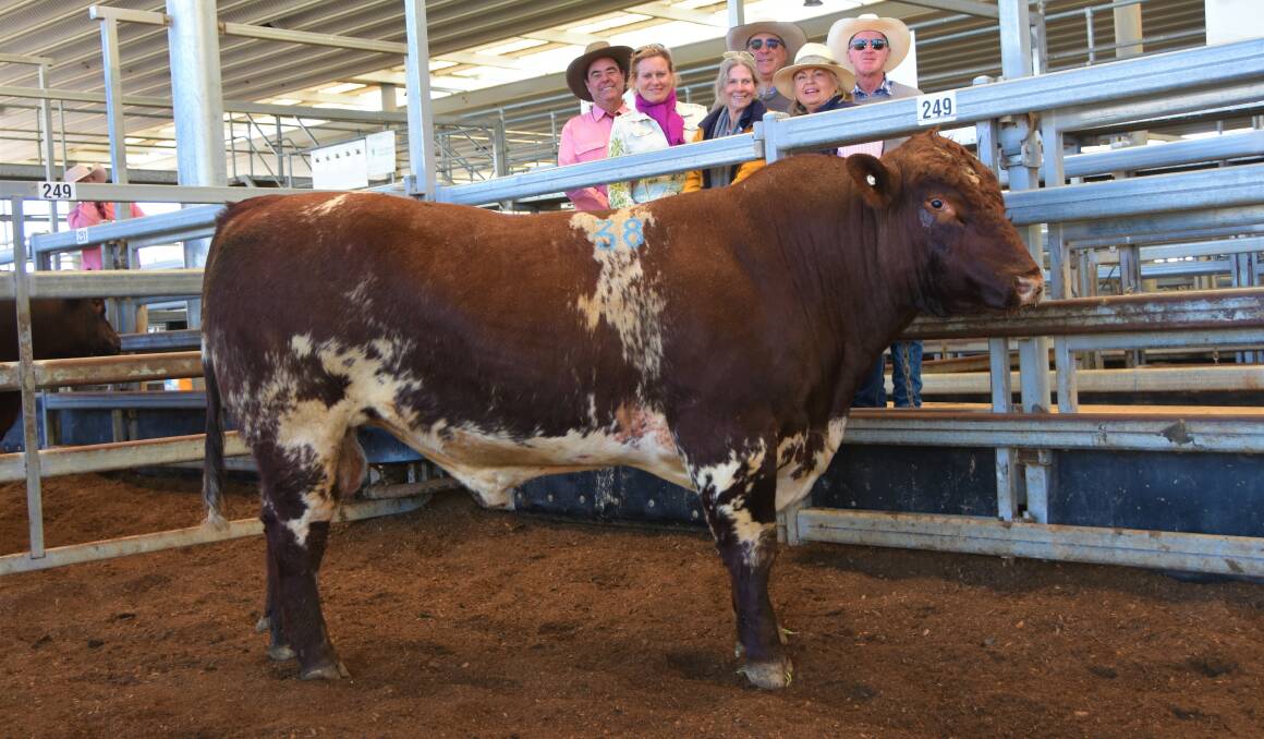 Bungulla Pac-Man P79 sold for $7000 with agent Brian Kennedy, Elders, Vendor Lou Capel, lot 1 purchaser Lizzie Witts, Pinaroo, Coonabarabran, vendor Pete Capel, and new owners Cindy and Rob FItzgerald, West Nombi, Mullalley.