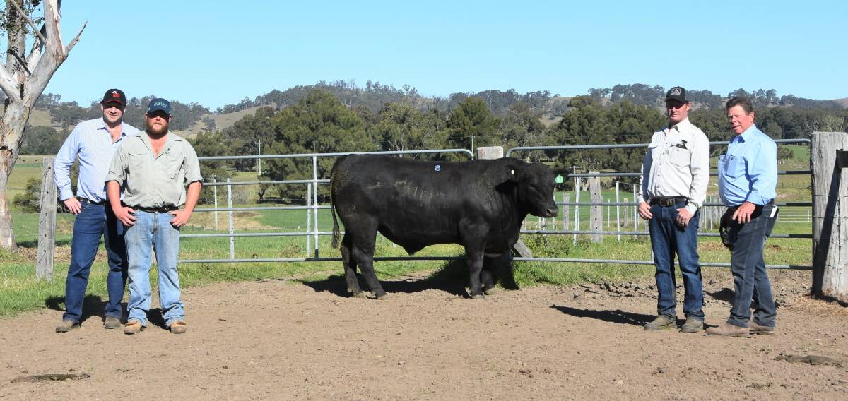Urban Angus second bull who shared the top sale price of $7000 Urban New Blood N59 with purchaser Tim Phelan, Kimbarra Pastoral co, Glenwilliam, and manager Andrew Gehrigi, Dungog, Urban stud principal Matt Urban and Kimbarra Pastoral co retiring manager, Barry ONeil, Gresford 
