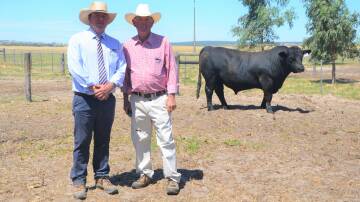 Spence Dix & Co director Jono Spence and Lancaster Black Simmentals principal Tim Cartledge with the $20,000 stud record bull Profit Driver R17.