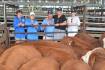 Naracoorte heifers average $2059