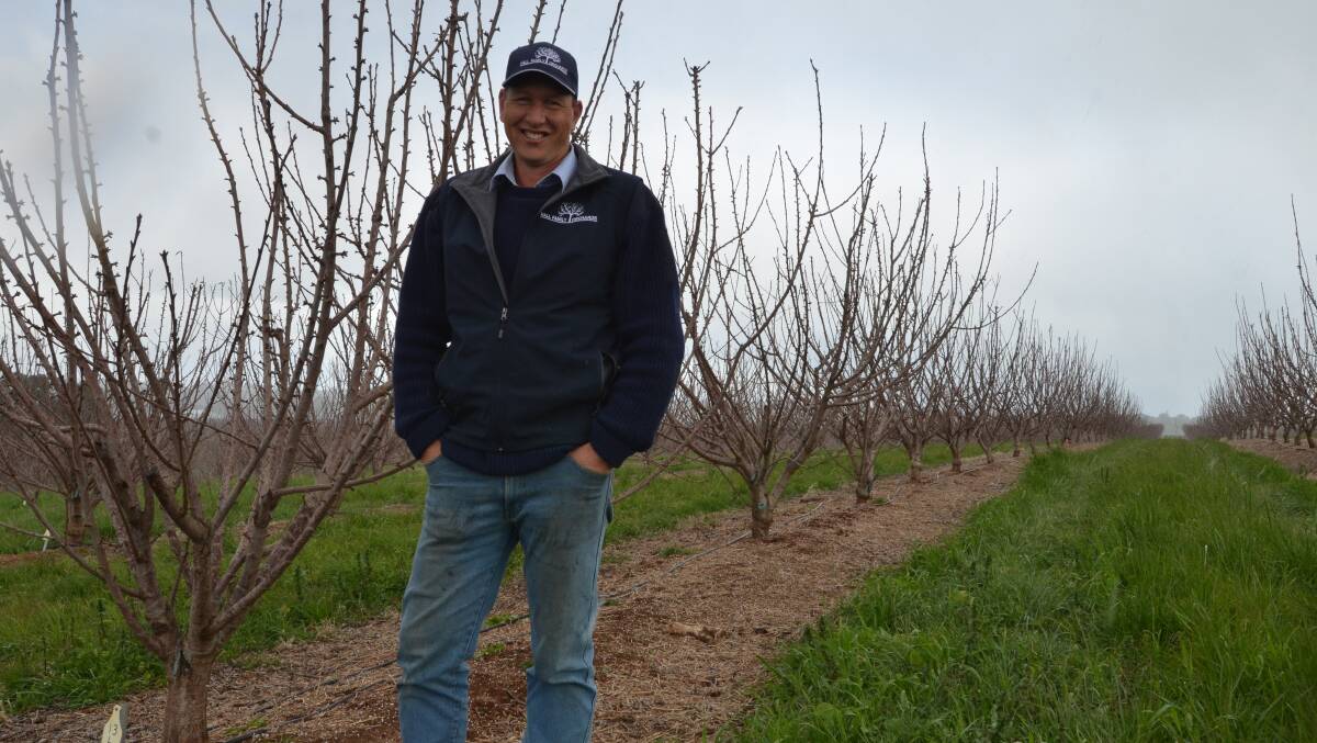 HIRING LOCAL: Chris Hall of Hall Family Orchards has been targeting Australian workers in recent years. Picture: The Young Witness