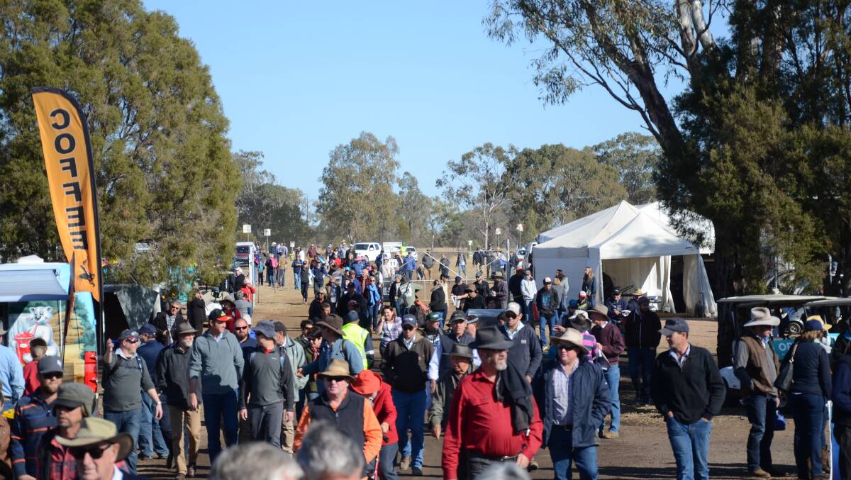 HAPPY DAYS: Crowds arrive at Commonwealth Bank AgQuip for the start of the field days.