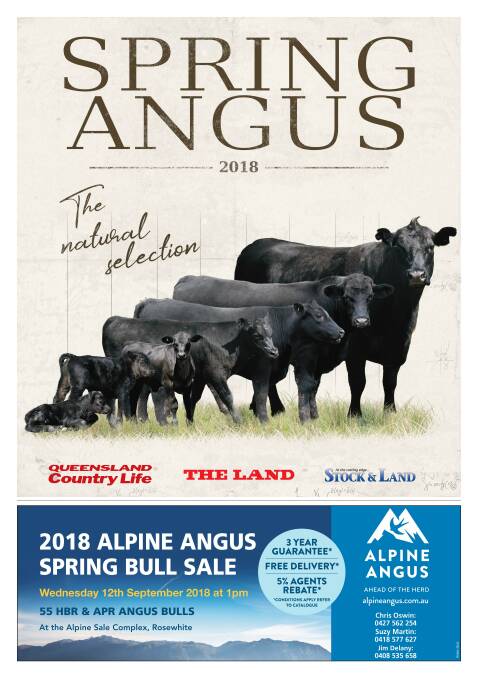 Read Spring Angus 2018 here.