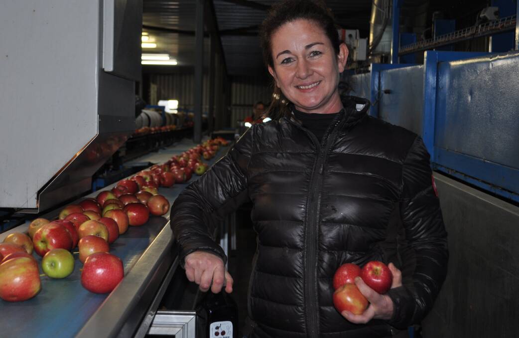 SHE'S APPLES: Fiona Hall, in the sorting shed with apples, has plenty of advice for novice tree crop growers. PHOTOS: Robyn Ainsworth