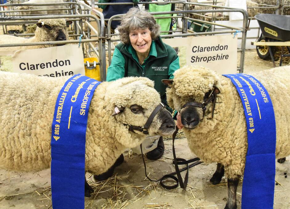 TOP SHROPSHIRE: Marilyn Mangione with her champion Shropshire ram and ewe at the ASWS in 2019.