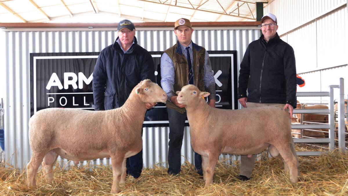 Garry and Sam Armstrong, Armdale Park Poll Dorsets, Marrar, with top price buyer Karl Sinclair, Kinsdale Poll Dorsets, Orange.