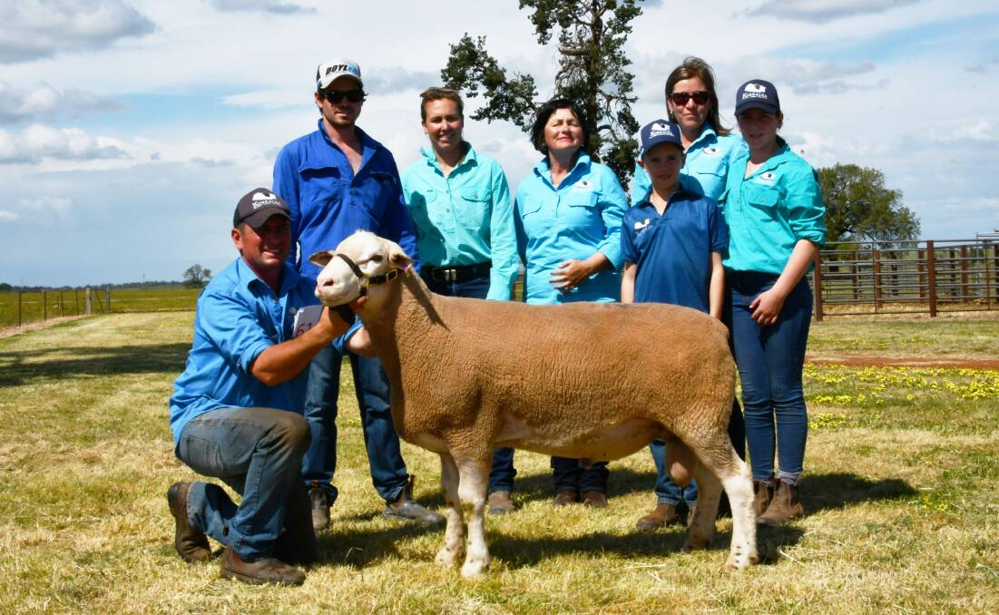 Ben Prentice, Kurralea, Ariah Park, buyers James and Dimity Comb, Manfred White Suffolk stud, Hay and Kim, Lucy, Henry and Ruby Prentice 