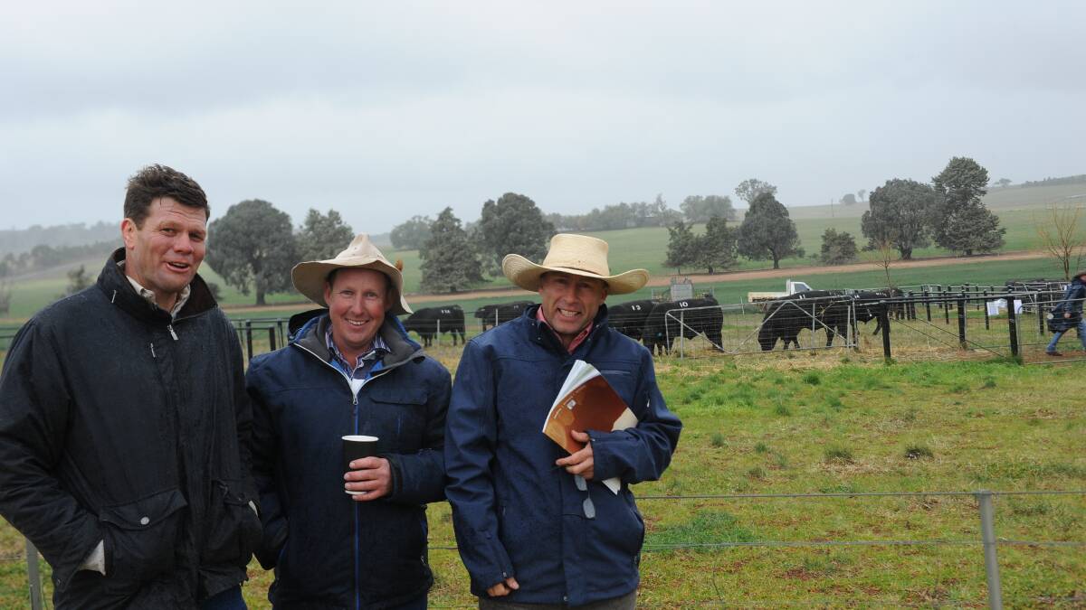 Will Caldwell, Milwillah Angus, Young, with Nigel Robards (manager), Ulladulla Pastoral Company, Holbrook and Tim Wright, Elders, Holbrook.