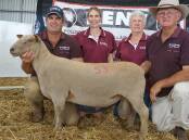 Scott, Brooke, Irene and Doug Mitchell, Rene Stud, Culcairn, with the $7000 top priced ram at their inaugural Charoolais sale. Photo supplied: studstocksales.com