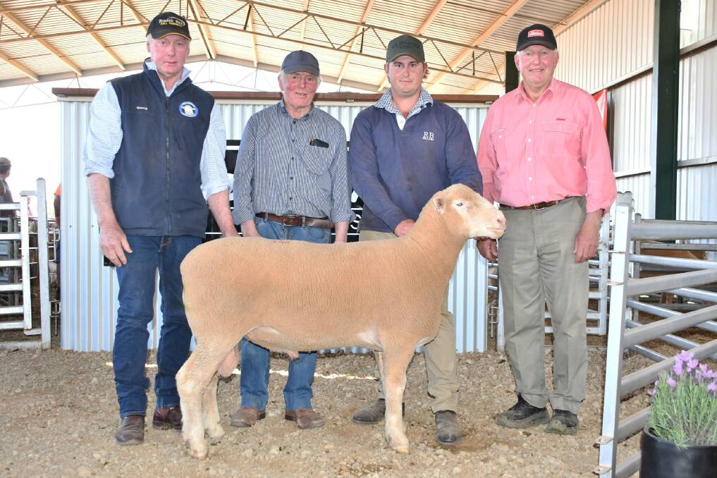 Garry and Sam Armstrong, Armdale Park Poll Dorsets, Marrar, with top priced buyer Robert Mitchell, Ronobri Poll Dorsets, Lockington, Vic, who paid $14,000 and auctioneer Steve Ridley, Goulburn.
