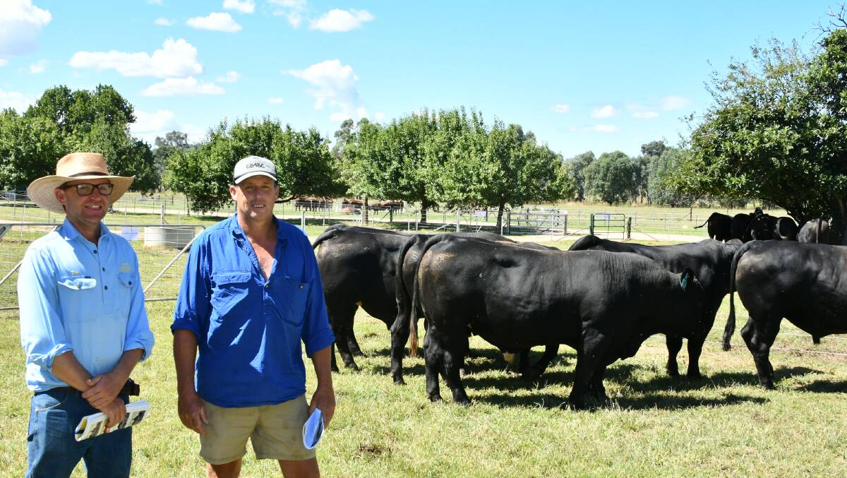 Tom Hicks, Hicks Beef, Holbrook, with local buyer Russell Parker, Holbrook.