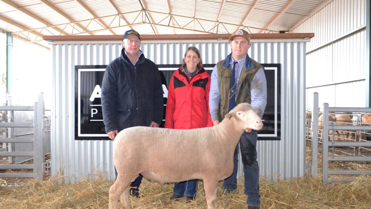 Garry and Sam Armstrong, with Jenny O'Sillivan, Elders Studstock, with the $9500 second top priced ram bought by the Pyle bros, Western Australia. 