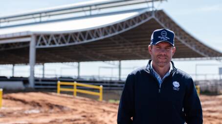 Teys Australia Charlton Feedlot General Manager Ash Sheahan said improving conditions for cattle in a wet winter and increased feed intake are just some of the benefits of the operations' Ridgeback™ shed.