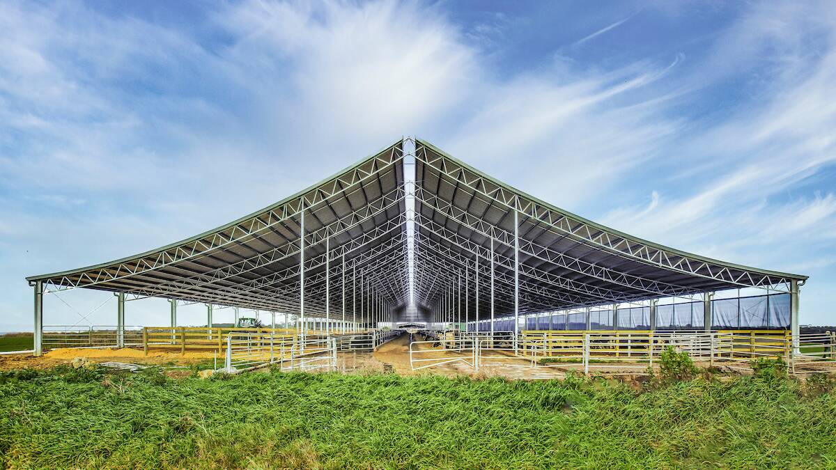 Economic sense: Providing protection from the elements and improved ventilation reduces livestock heat stress, improves animal welfare and farm productivity. Picture: Supplied