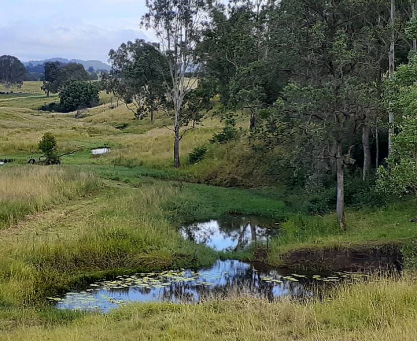 Fertile ground: The property includes this chain of ponds, a rare and unique feature in the Australian landscape. Picture: Supplied.