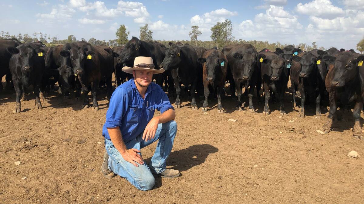 Up to the challenge: Angus producer Nick Boshammer from NBGenetics in Chinchilla in Queensland is already on board for this year's Multimin trial aimed at showing how trace minerals can improve fertility, animal health and ultimately herd performance.