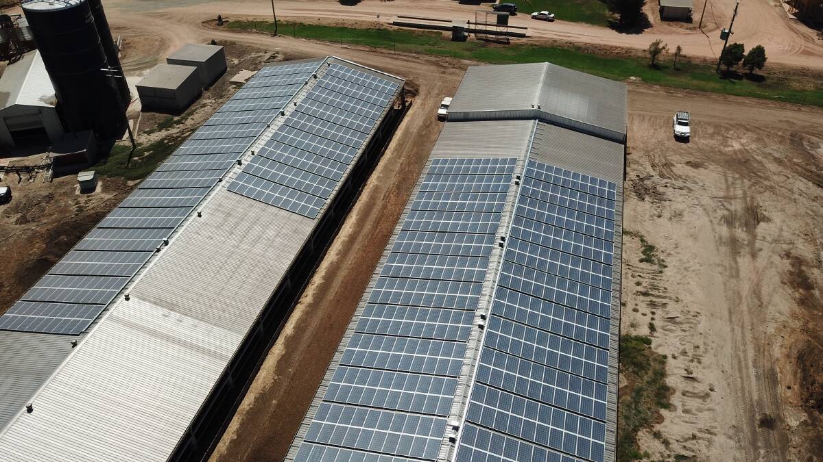 Solar sheds power costs, saves on emissions and boosts cashflow on feedlot