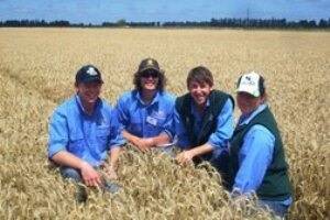Study Tour at Earl Worsfold's Greendale farm, Canterbury NZ in a milling wheat crop; L- R Dwayne Schubert, Max Baka-Koch, Andrew Gillett, Cindy Martin