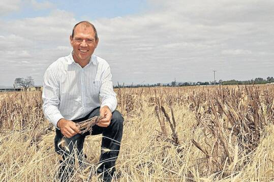 Western Australian consultant and farmer Bill Crabtree, Morawa, WA.