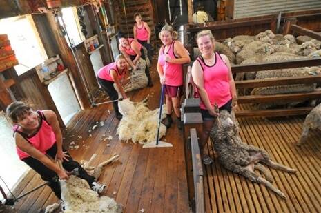 One group of determined ladies smashing the shearing stereotype.