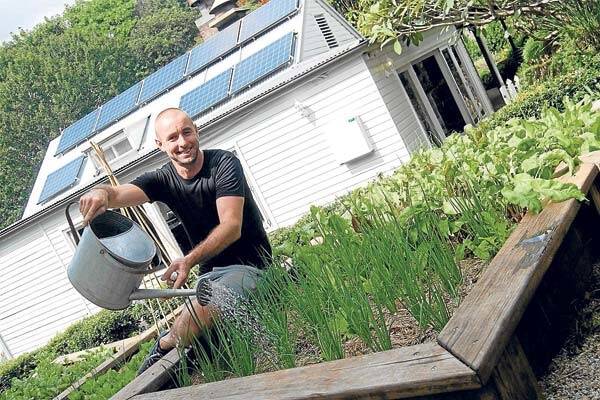 Going solar was the logical step for Harvest Cafe, Newrybar, which has already established itself as a sustainability leader in its industry.