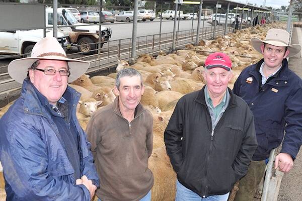 Paul and Peter Carroll (both pictured centre), "Olive Park", Ganmain, are pictured with their livestock agent Mick Noonan (left), Wagga Wagga, and their selling agent Tim Drum, Riverina Livestock Agents, Wagga Wagga.