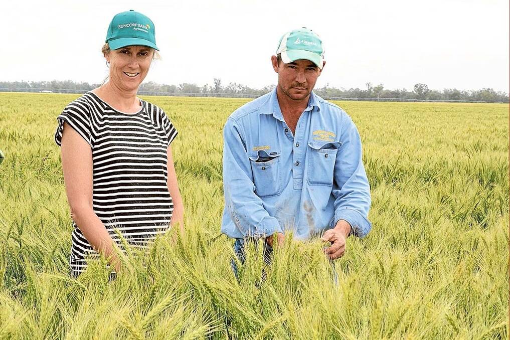 Principal of Browning Family Trust, Jodi Browning with Narramine Station farm manager Shannon Thomas in a paddock of Gregory wheat which won the Narromine Show wheat competition, making it eligible as a northern region finalist crop.
