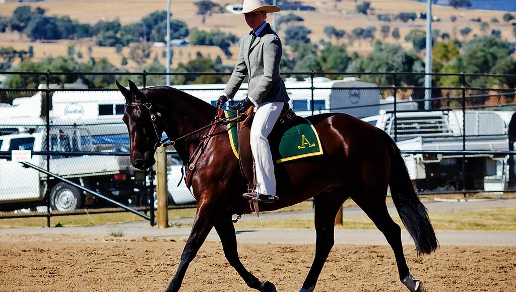 up for horse show | Land | NSW