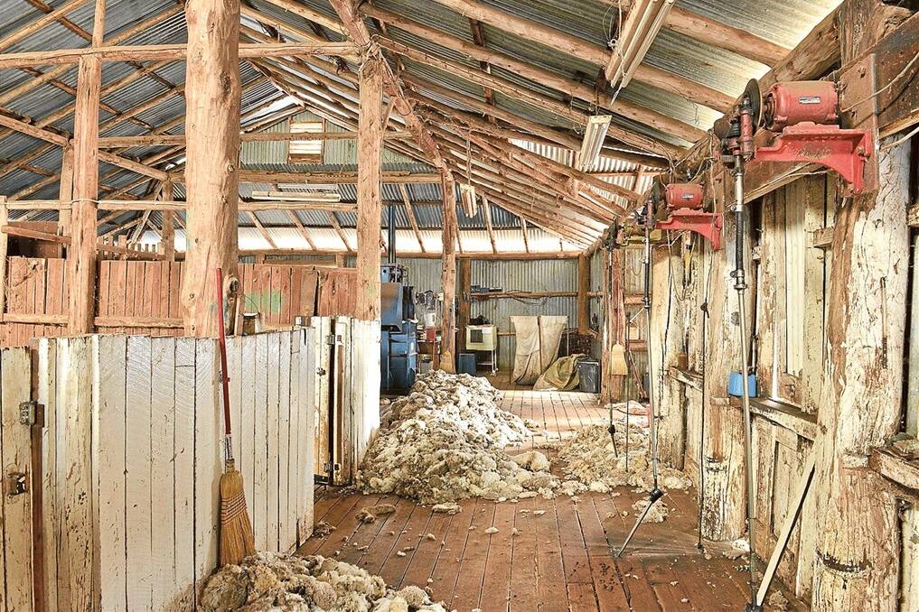 Built on a frame of local cypress pine in the 1920s, the shearing shed on “Ringwood” continues to do faithful service.