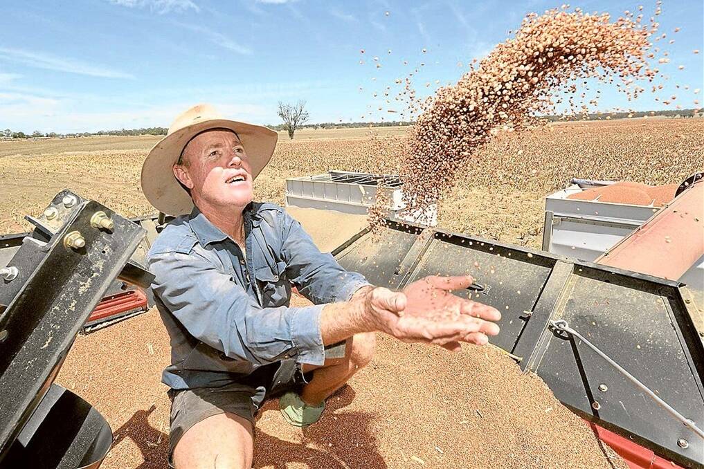 Phillip Anderson, “Robina”, Delungra, planted 95 hectares to sorghum this year and hopes to yield more than one tonne a hectare.