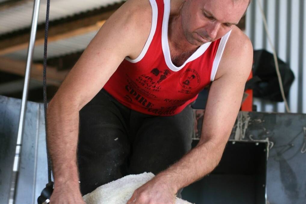 Steve Mudford of Gilgandra is one of three shearers to attempt a three-stand Merino ewe shearing record on April 5
