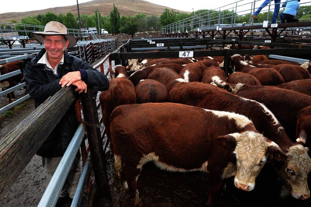 Michael Green, "Boudjah", Cooma, sold seven-  to eight-month-old, Kaludah-blood, Hereford steers for $535 at the Cooma sale last Wednesday.