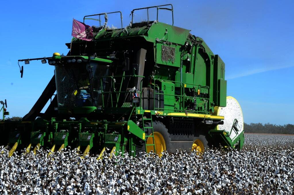 A John Deere 7760 cotton round bale picker working around the clock at Auscott, Warren, since April 10. This year at least 80 per cent of picking in the 3900 hectare cotton crop is being handled by round bale pickers
