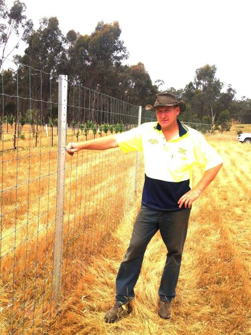 Fencing contractor David Cornthwaite has stopped kangaroos getting into clients’ vineyards with Waratah fencing.