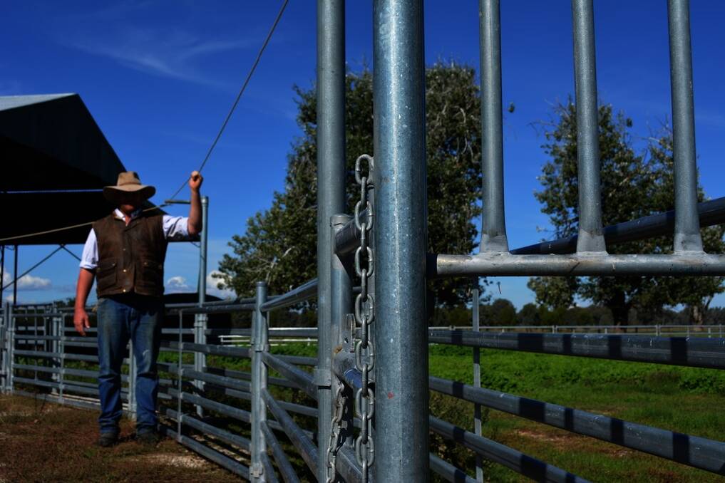 Michael Gooden, “Canungra”, Holbrook, said his Proway sheepyards were set up to be operated by one pair of hands.