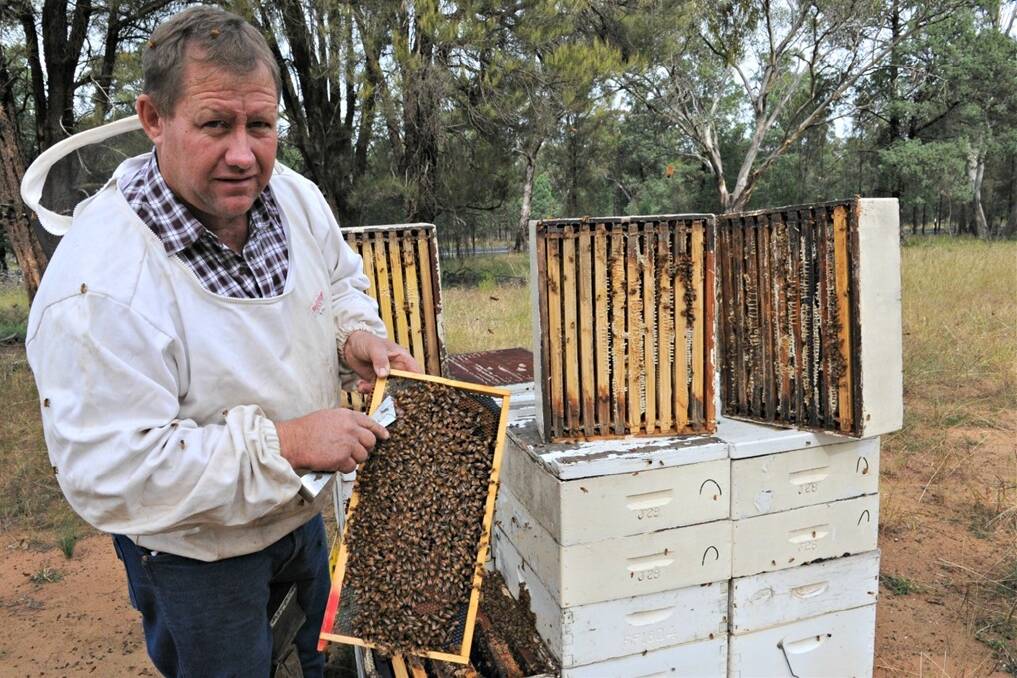Bryn Jones, Jones’ Honeycomb Australia, Dubbo.