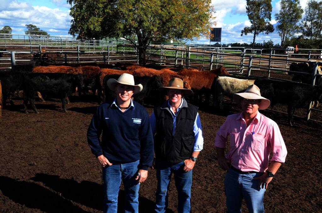 These 28 Limousin/Angus composite steers sold for $620 at the Dubbo store cattle sale last Friday. Pictured is the buyer, James Litt, Kevin Miller Whitty Lennon, Forbes; breeder, Terry McConnell, “Jilliby”, Dubbo, and his agent, Greg Knaggs, Elders Dubbo.