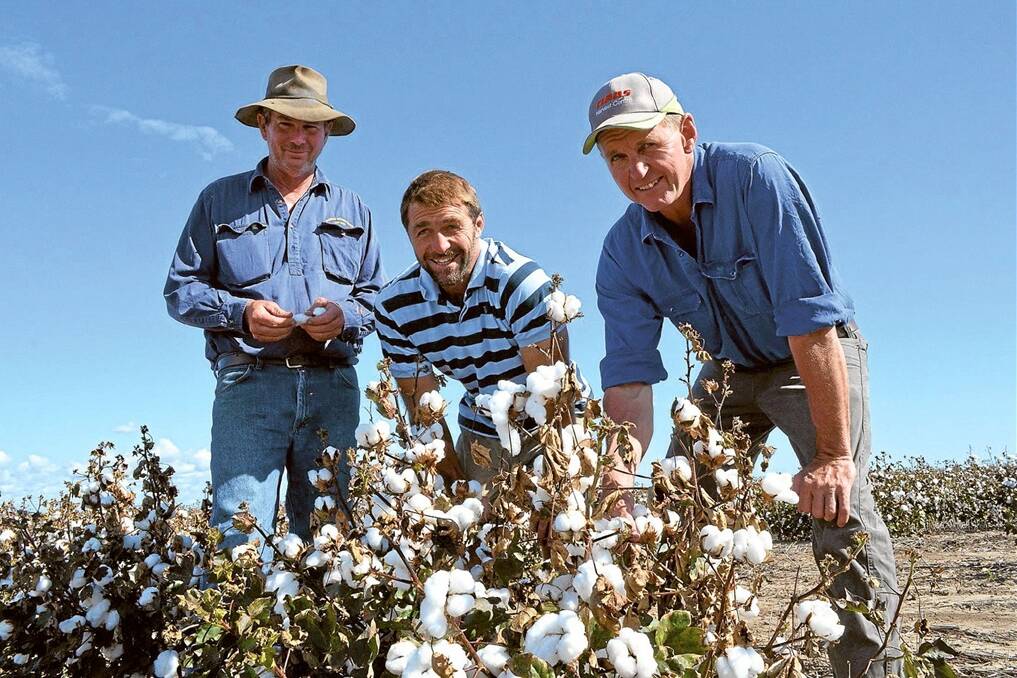 Geoff O'Neill, “Llano”, Narrabri (far right), with with Narrabri growers Bruce Kirkby, “Koiwon”, and Ian Gourley, “Blue Hills”.