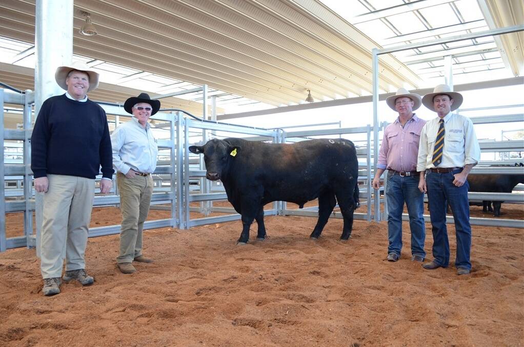 Patrick Purtle, Purtle Plevey Angencies, Manilla; Brian Powell and Andrew Green, Yamba Angus; Chris Paterson, Chris Patertson Stock and Station Agents, Tamworth with $9000 New England Angus Breeders 2013 sale topper.