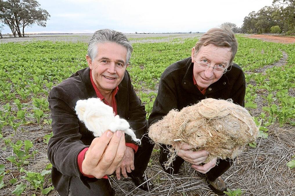 Textiles and Composite Industries’ international marketing director Charles Kovess and managing director Adrian Clarke, Ballan, Victoria, with samples of degummed hemp fibre suitable for spinning and hemp in its raw state.