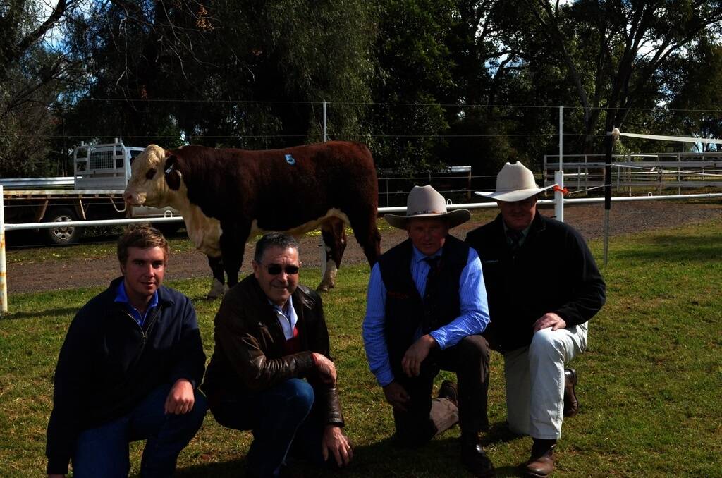 Ravensdale Poll Hereford stud manager Oliver Jeffery with Ravensdale principal Brian Burgess with Nelson Carlow, Kidman Poll Herefords, Landmark stud stock specialist John Settree, and Kidman Decker H273, the sale-topping bull.