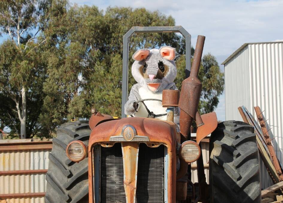 Hay and Holroyd shires are working to lift literacy with Paddy the Possum and Paint Hay Read.