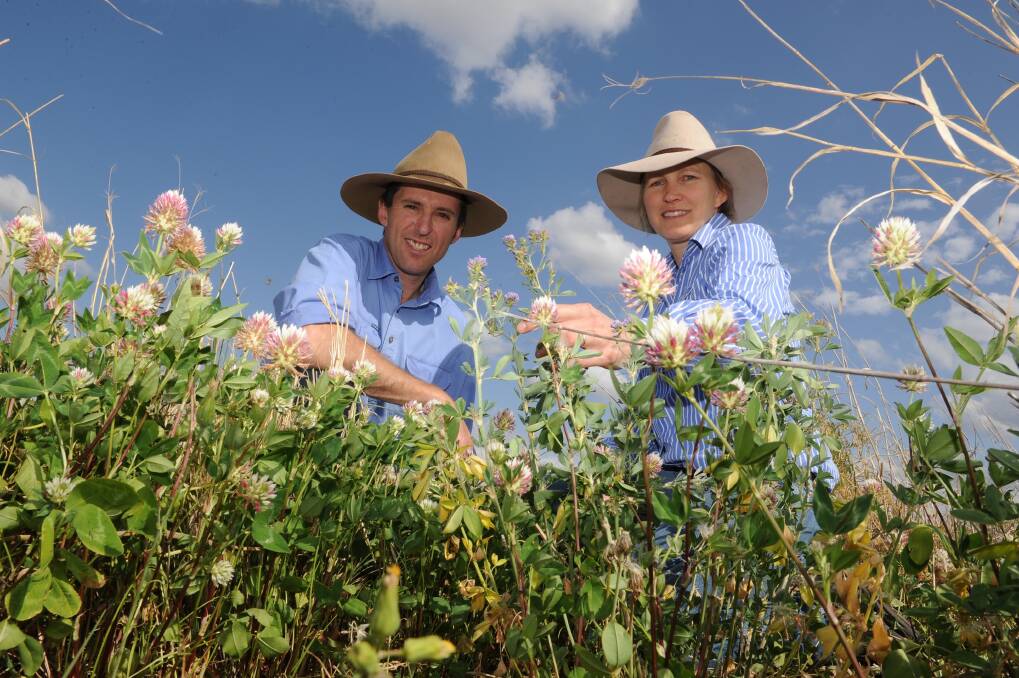 Winners of NSW Farmer of the Year Award Derek and Kirrily Blomfield,  'Colorado' Quirindi.