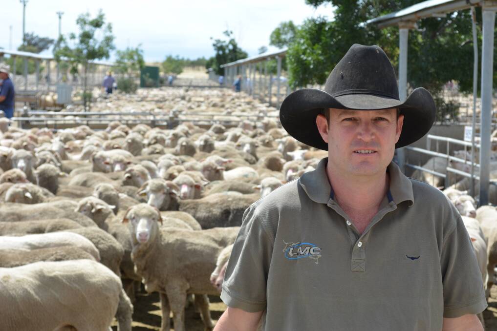 Australian Livestock Markets Association (ALMA) vice chairman Paul Martin.