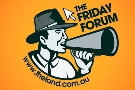 Join in the Friday Forum chatter