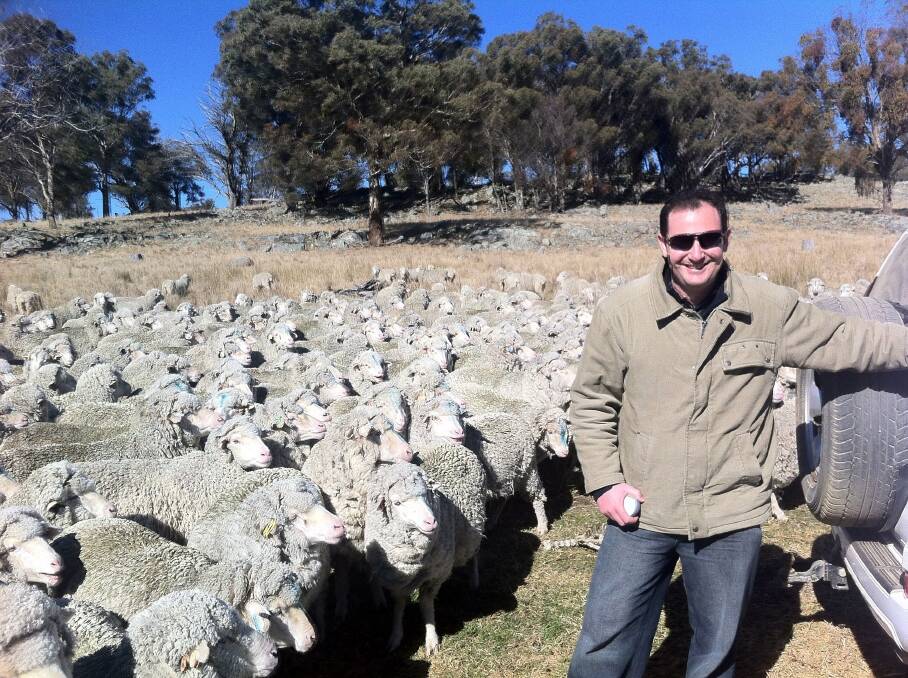 University of New England researcher Dr Greg Falzon is developing a device to detect when wild dogs approach sheep flocks. 