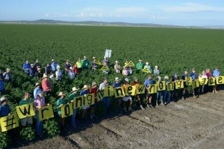Farmers line up to promote an anti-mining campaign on the Liverpool Plains campaign.