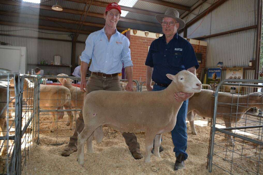 James Gilmore, Tattykeel stud, with second top buyer Robert Sheridan, Woodstock Prime Lamb, Junee, with a Poll Dorset ram Mr Sheridan purchased for $2400.