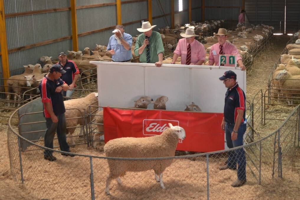 Stud Border Leciester rams sold during annual Cadell ram sale